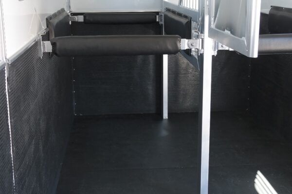 SAMSUNG CSC 4 Horse Head-to-Head Trailers