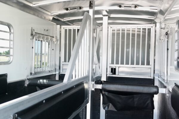 16132 (11) 2 Horse Gooseneck Straight Load 2+1