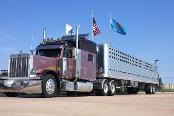 Straight Floor Semi Stock Trailer